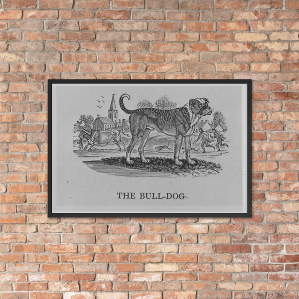 Quadrupeds - Thomas Bewick - [1820] - Matte Paper Framed Poster Museum quality 7740542