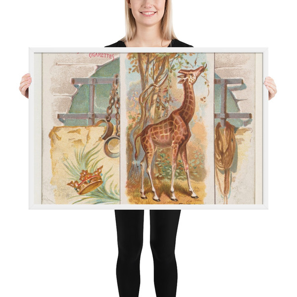 Giraffe, from Quadrupeds series (N41) for Allen & Ginter Cigarettes - Allen & Ginter - 1890 - Photo Paper Framed Poster Museum quality 7748515