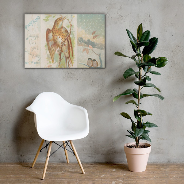 Thrush, from the Song Birds of the World series (N42) for Allen & Ginter Cigarettes - Allen & Ginter - 1890 - Canvas Museum quality 7725297