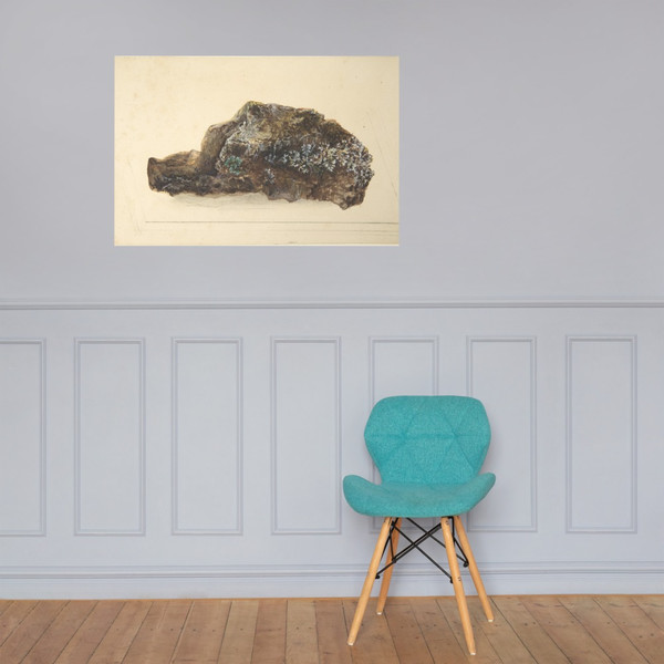 Study of a Rock - Anonymous, British, early 19th century - early 19th century - Photo Paper Poster Museum quality 7744302