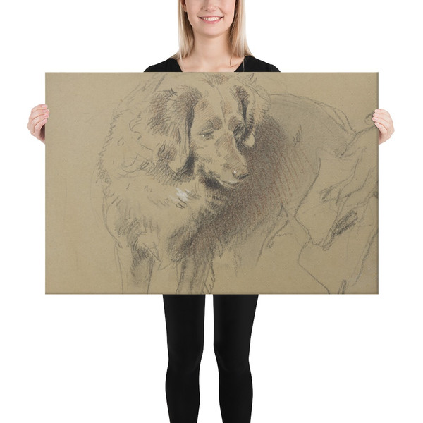 Study of a Dog - Sir Edwin Henry Landseer - 1820–73 - Canvas Museum quality 7742897