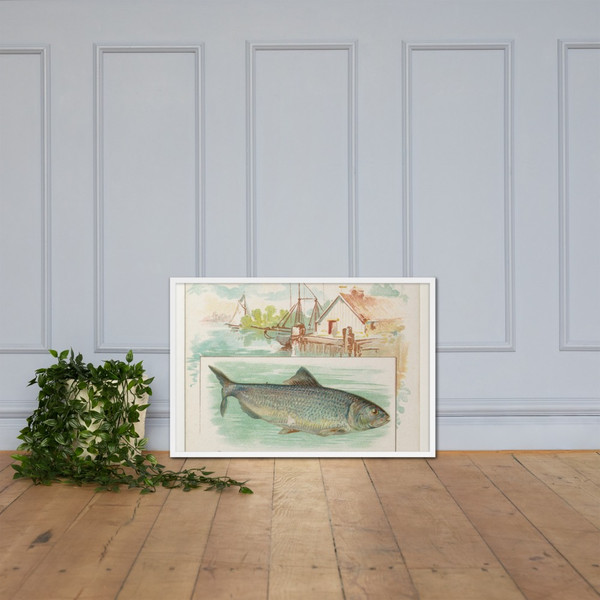 Shad, from Fish from American Waters series (N39) for Allen & Ginter Cigarettes - Allen & Ginter - 1889 - Matte Paper Framed Poster Museum quality 7742369