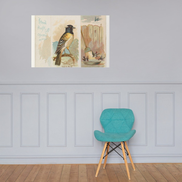 Stitch Bird, from the Song Birds of the World series (N42) for Allen & Ginter Cigarettes - Allen & Ginter - 1890 - Photo Paper Poster Museum quality 7725350