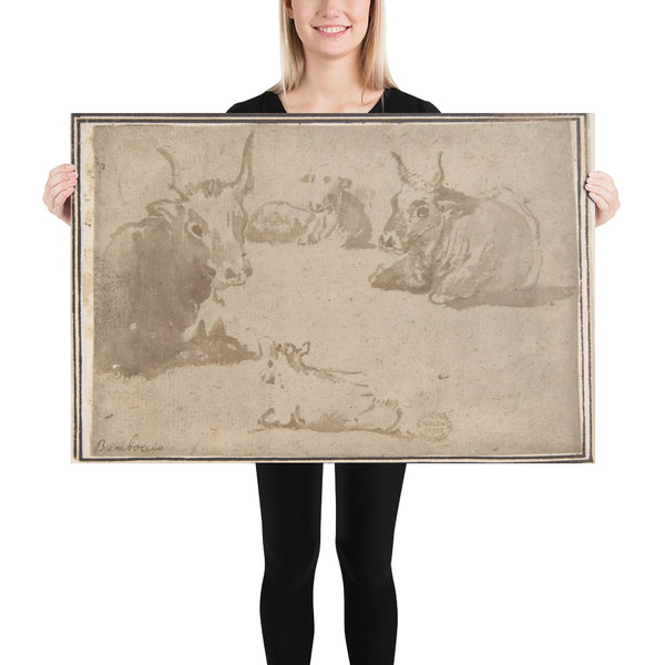 Studies of Cattle - Anonymous, Italian, Roman-Bolognese, 17th century - 17th century - Photo Paper Poster Museum quality 7745989