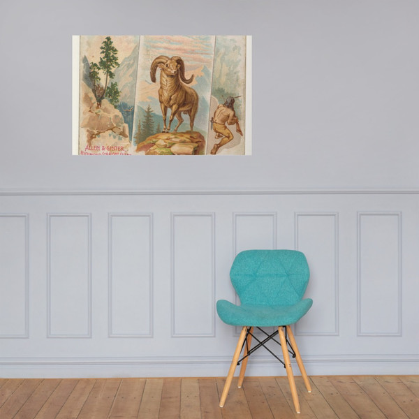 Bighorn, from Quadrupeds series (N41) for Allen & Ginter Cigarettes - Allen & Ginter - 1890 - Paper Poster Museum quality 7748428