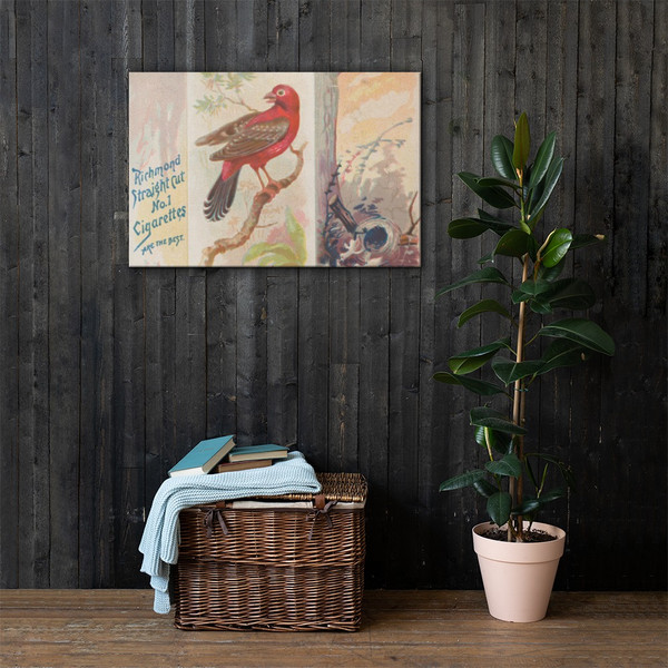 Amandava, from the Song Birds of the World series (N42) for Allen & Ginter Cigarettes - Allen & Ginter - 1890 - Canvas Museum quality 7719875