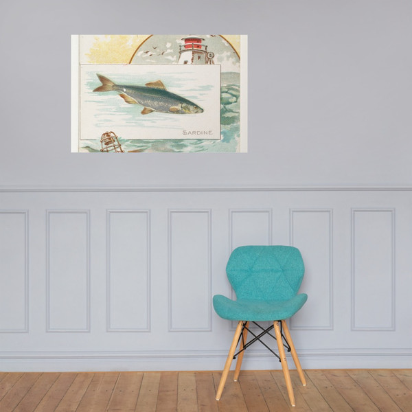 Sardine, from Fish from American Waters series (N39) for Allen & Ginter Cigarettes - Allen & Ginter - 1889 - Paper Poster Museum quality 7742390