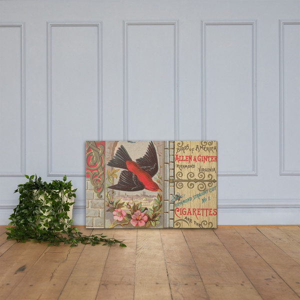 Scarlet Tanager, from the Birds of America series (N37) for Allen & Ginter Cigarettes - Allen & Ginter - 1888 - Canvas Museum quality 7719857