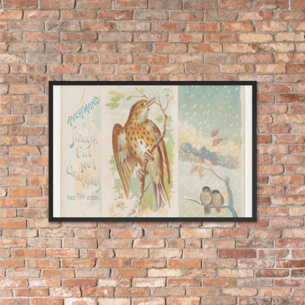 Thrush, from the Song Birds of the World series (N42) for Allen & Ginter Cigarettes - Allen & Ginter - 1890 - Photo Paper Framed Poster Museum quality 7725362