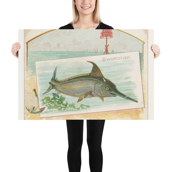 Swordfish, from Fish from American Waters series (N39) for Allen & Ginter Cigarettes - Allen & Ginter - 1889 - Paper Poster Museum quality 7742443
