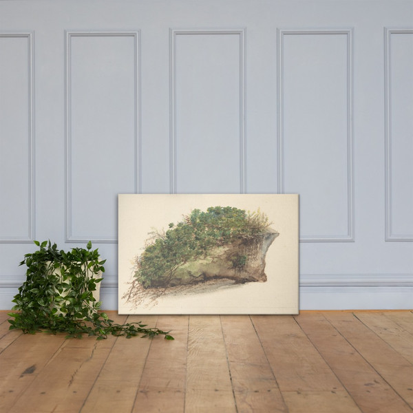 Study of a Piece of Turf - Anonymous, British, early 19th century - early 19th century - Canvas Museum quality 7744307