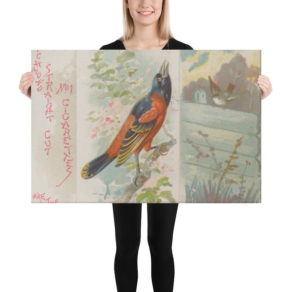 Orchard Oriole, from the Song Birds of the World series (N42) for Allen & Ginter Cigarettes - Allen & Ginter - 1890 - Canvas Museum quality 7719809