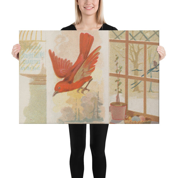 Scarlet Finch, from the Song Birds of the World series (N42) for Allen & Ginter Cigarettes - Allen & Ginter - 1890 - Canvas Museum quality 7719775