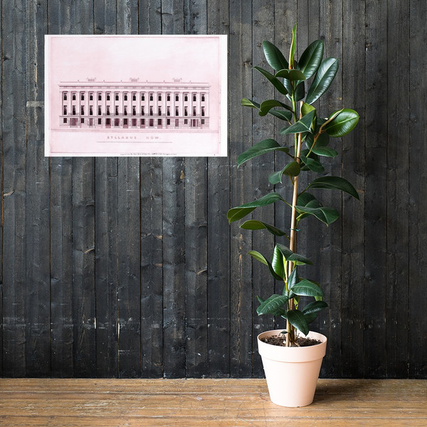 Syllabus Row, New York - Alexander Jackson Davis - 19th century - Paper Poster Museum quality 7746465