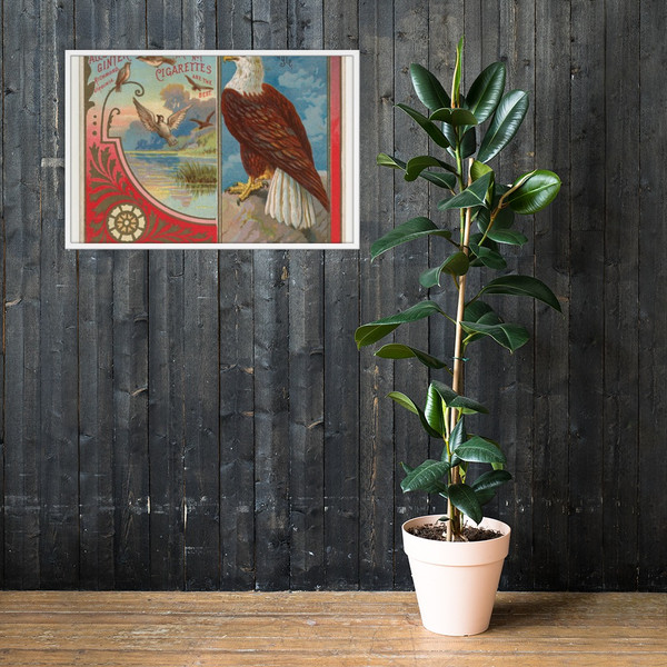 Eagle, from the Birds of America series (N37) for Allen & Ginter Cigarettes - Allen & Ginter - 1888 - Matte Paper Framed Poster Museum quality 7725187