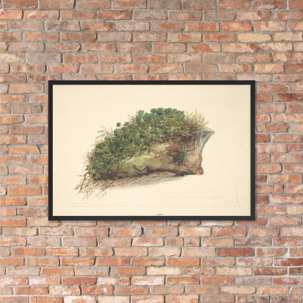 Study of a Piece of Turf - Anonymous, British, early 19th century - early 19th century - Matte Paper Framed Poster Museum quality 7744305