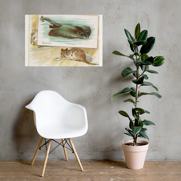 Skate, from Fish from American Waters series (N39) for Allen & Ginter Cigarettes - Allen & Ginter - 1889 - Photo Paper Poster Museum quality 7742453