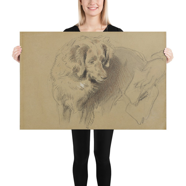 Study of a Dog - Sir Edwin Henry Landseer - 1820–73 - Photo Paper Poster Museum quality 7742905