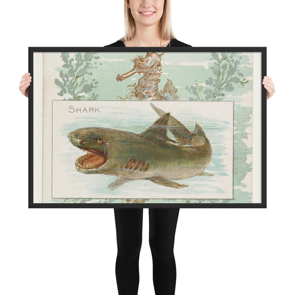 Shark, from Fish from American Waters series (N39) for Allen & Ginter Cigarettes - Allen & Ginter - 1889 - Matte Paper Framed Poster Museum quality 7742361