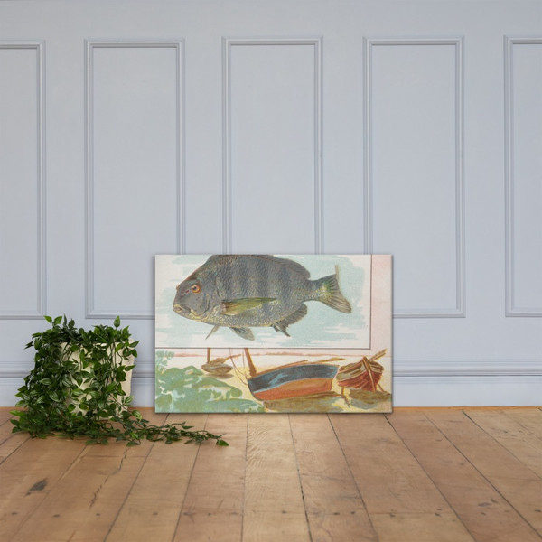 Sheepshead, from Fish from American Waters series (N39) for Allen & Ginter Cigarettes - Allen & Ginter - 1889 - Canvas Museum quality 7742451