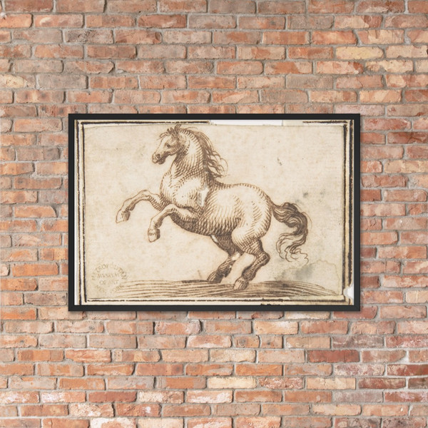 Horse - Francesco Allegrini - 1624–63 - Matte Paper Framed Poster Museum quality 7797229