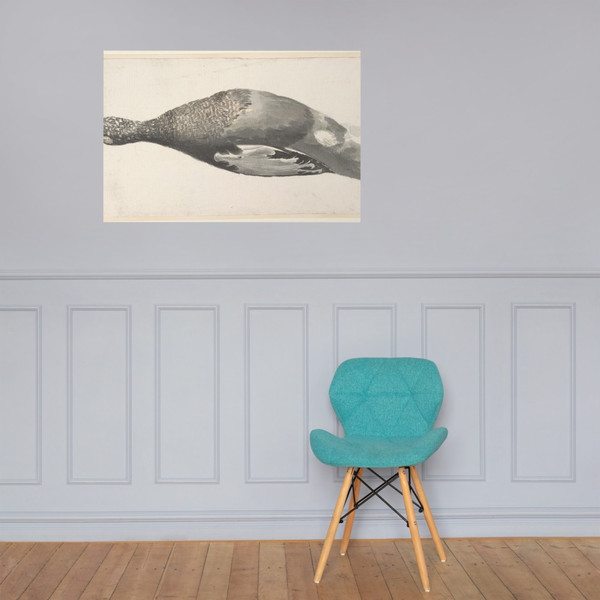 Dead Duck - Count Giorgio Durante (Duranti) - 1685–1755 - Photo Paper Poster Museum quality 7796386