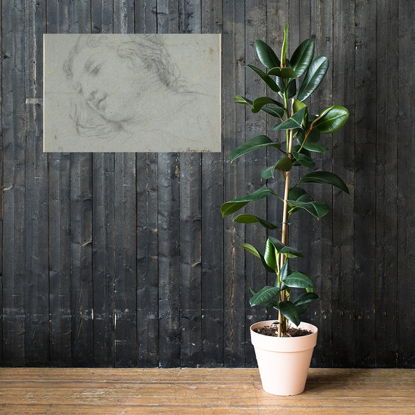 Head of a Woman (recto); Head of a Child, Study of Children's Forearms (verso) - Ciro Ferri - 1634–89 - Paper Poster Museum quality 7796284