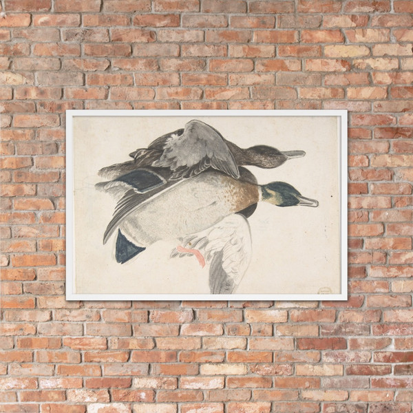 Two Dead Ducks - Count Giorgio Durante (Duranti) - 1685–1755 - Matte Paper Framed Poster Museum quality 7796362