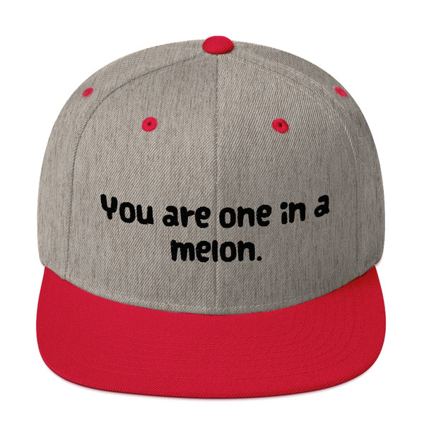 You are one in a melon. - Yupoong Wool Blend Snapback Funny quotes 7820029