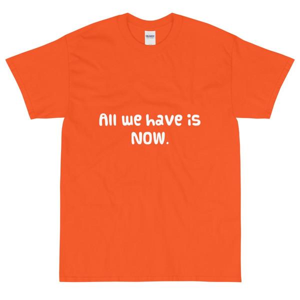 All we have is NOW. - Ultra Cotton T-Shirt Funny quotes 7818380