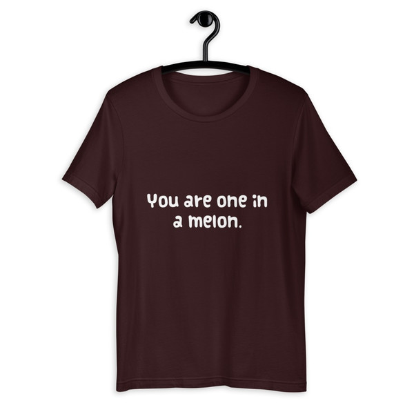 You are one in a melon. - Unisex Short Sleeve Jersey T-Shirt Funny quotes 7833289