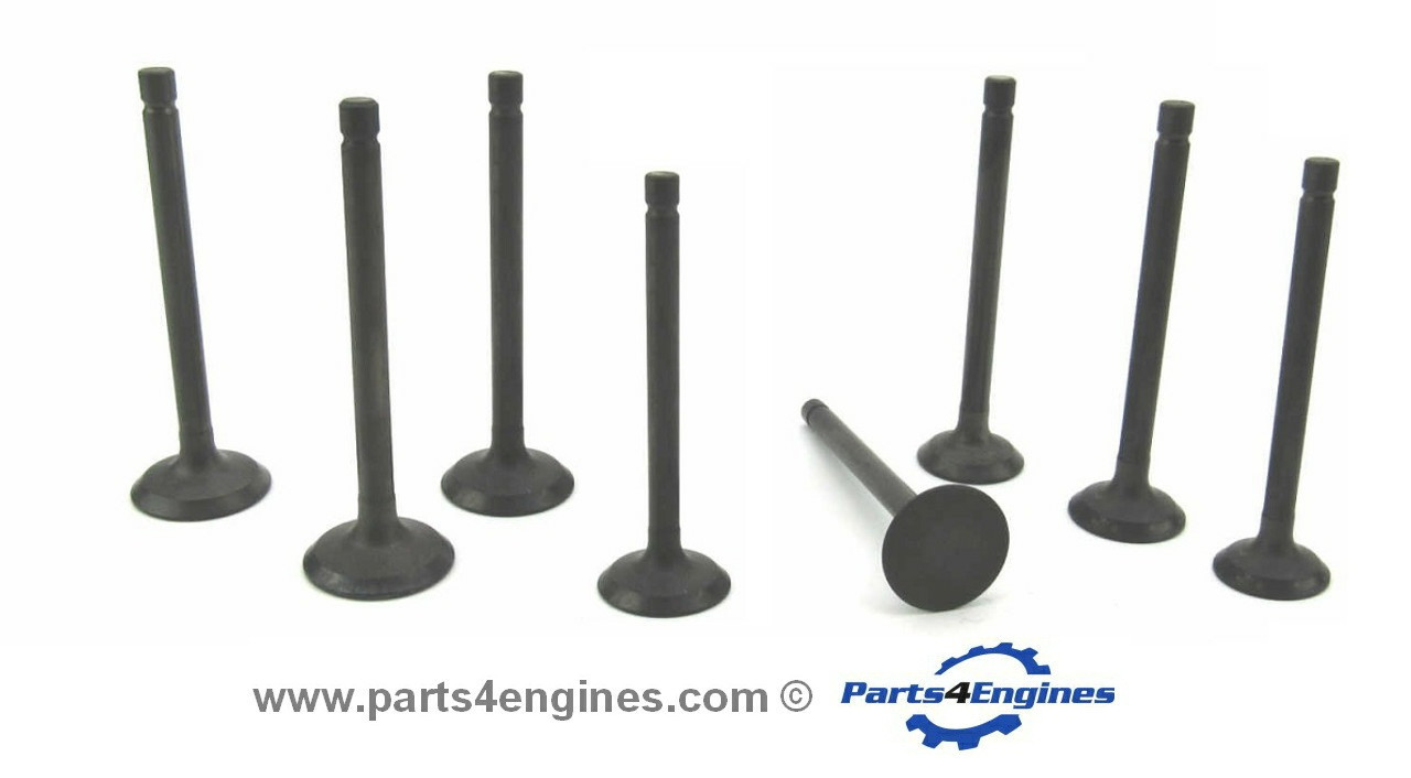 Volvo Penta D2-55 cylinder head valve set from Parts4engines.com