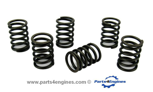 Volvo Penta D1-30 Valve Spring set - parts4engines.com