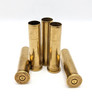 .45/70 Brass Case