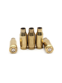 .22 TCM Brass Case