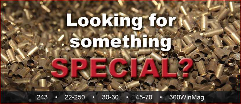 Competition Shooting (USPSA)