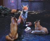 Play a talking fox in the Rivers of London roleplaying game!