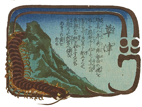Centepede