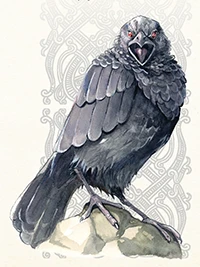 Title Raven