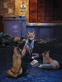 Foxes