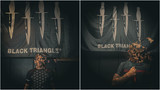 Black Triangle Fight Club