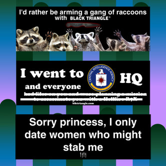 BUMPER STICKER OPTIONS