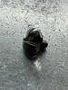 81286 BAIL SCREW, 308