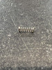 G15-7401 OSC GEAR SPRING