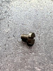 DAM 100-029 SCREW