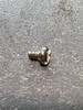 QAF113-01 Nut Screw