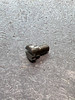 110-445 SCREW