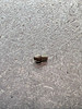 10BTO CLICK PIN (BNT2122)
