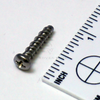 2203460 SCREW-#8 X 0.75 PPH HI-LO SS