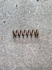 82823 SPRING